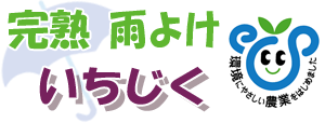 完熟 雨よけ いちじく