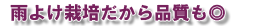 雨よけ栽培だから品質も◎